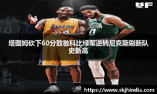 jn体育官网